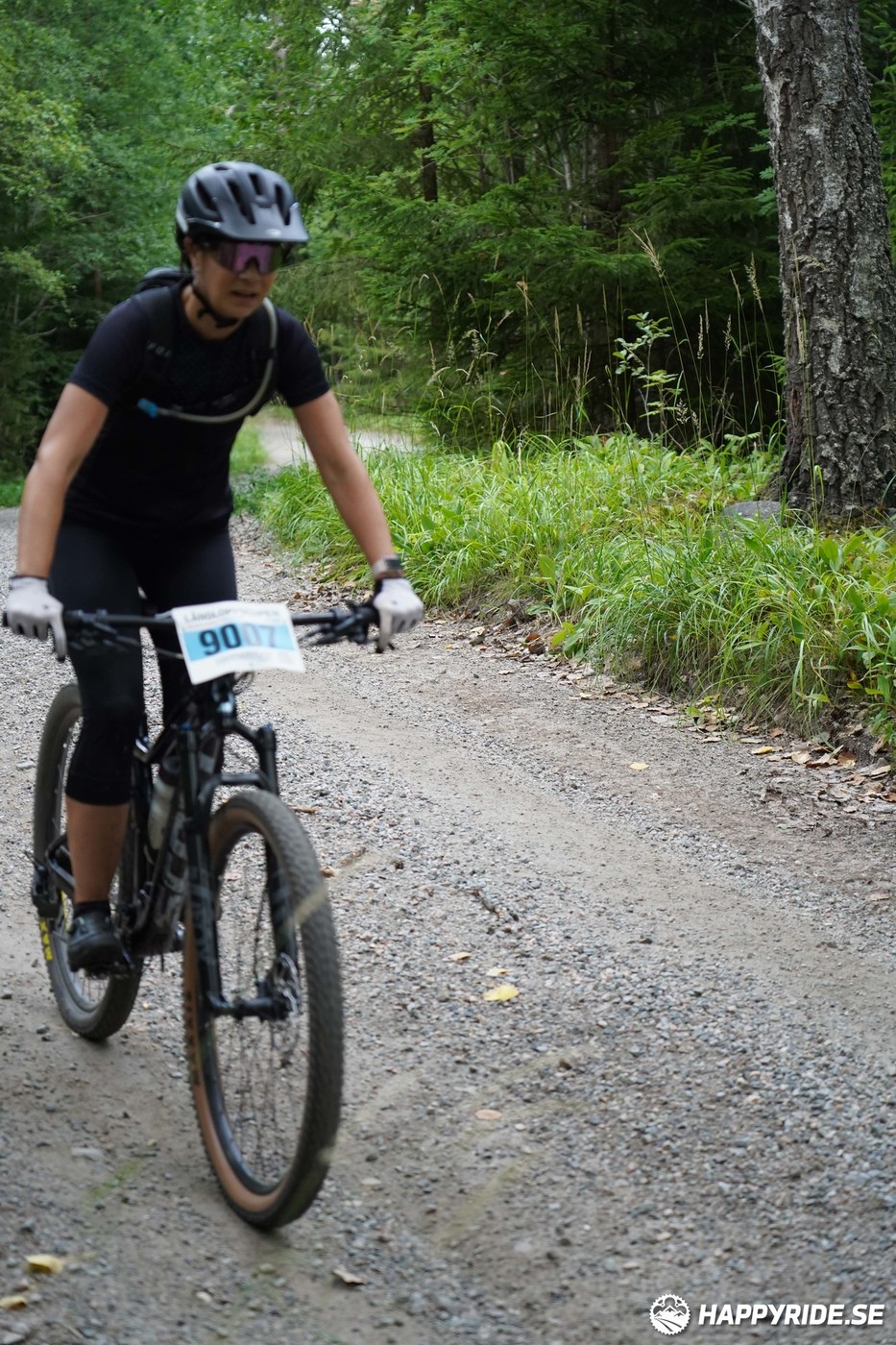 Bild från Finnmarksturen 2022