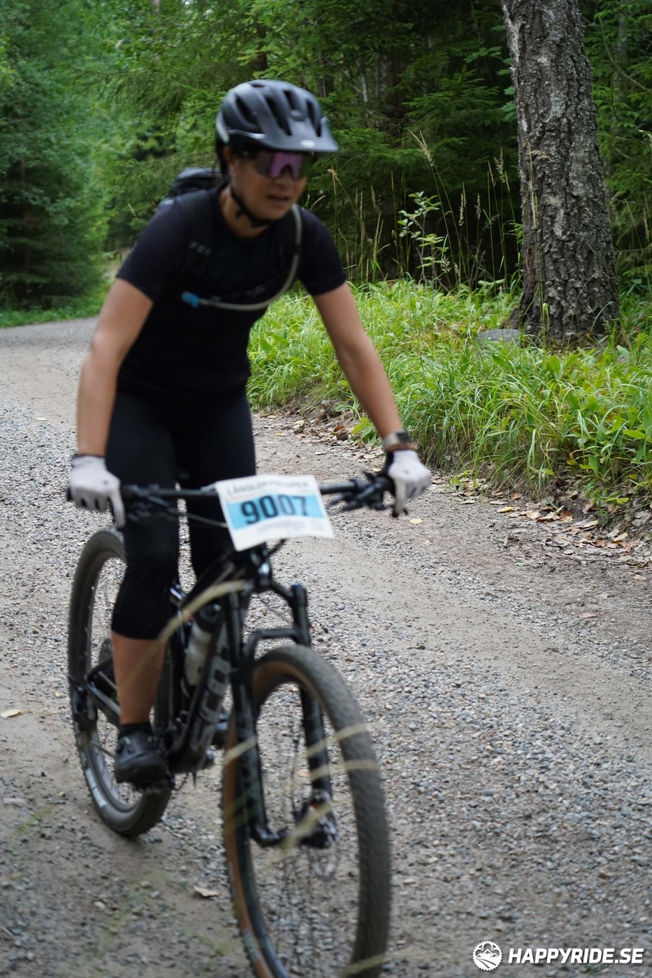 Bild från Finnmarksturen 2022