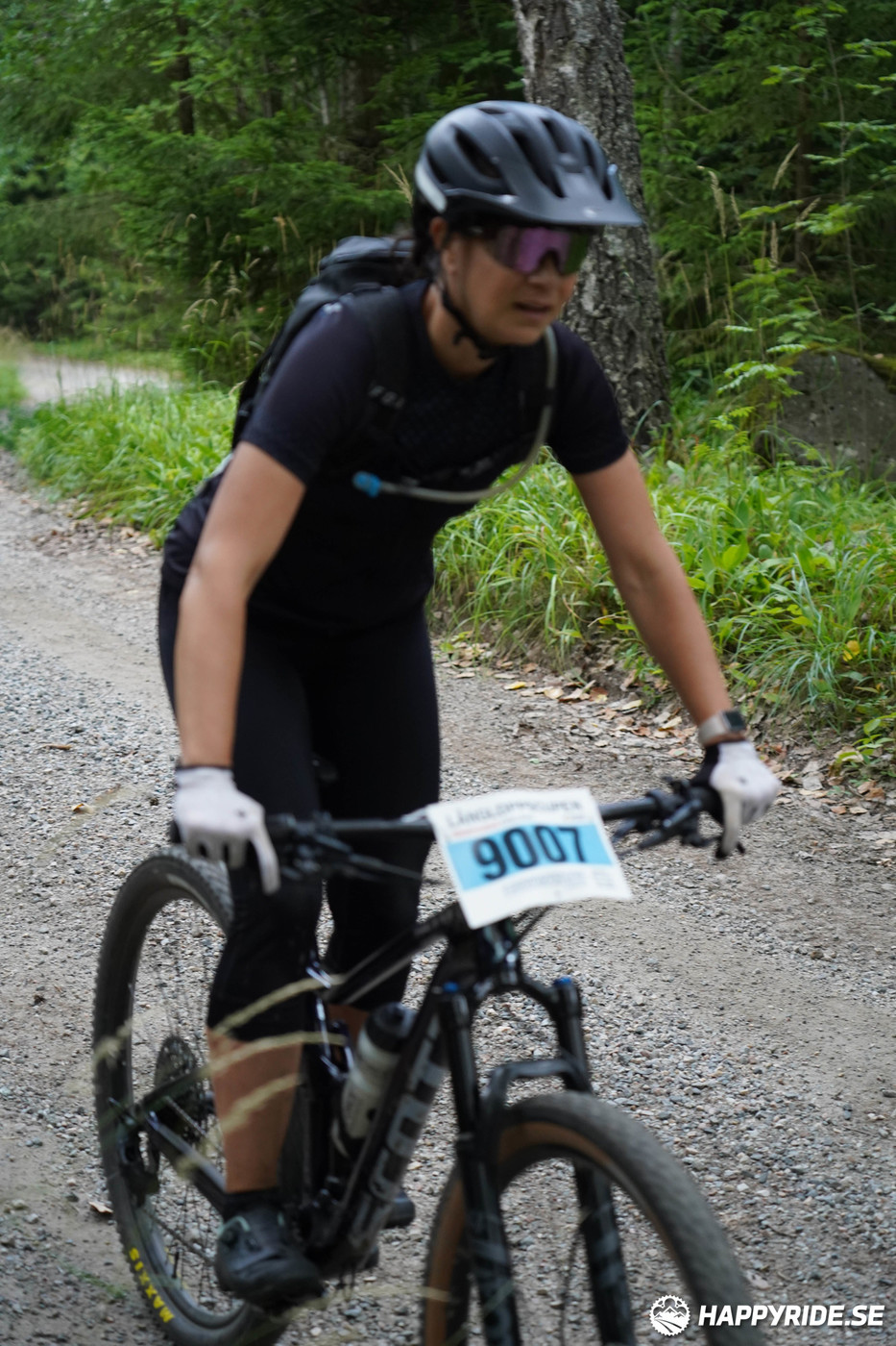 Bild från Finnmarksturen 2022