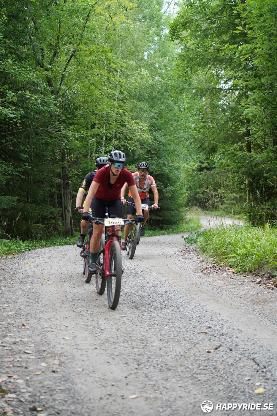 Bild från Finnmarksturen 2022