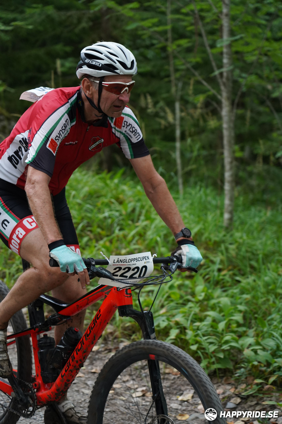 Bild från Finnmarksturen 2022