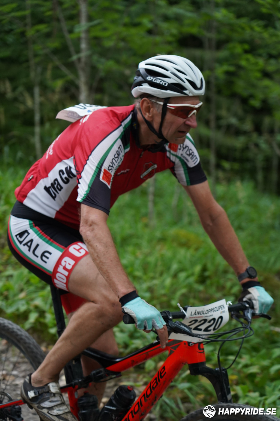 Bild från Finnmarksturen 2022