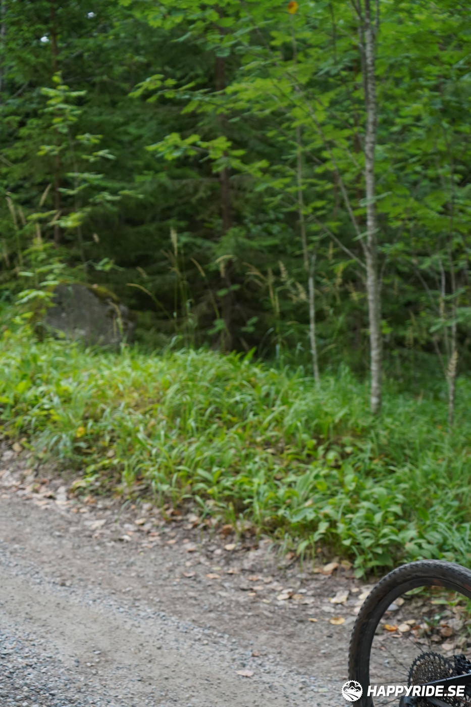 Bild från Finnmarksturen 2022