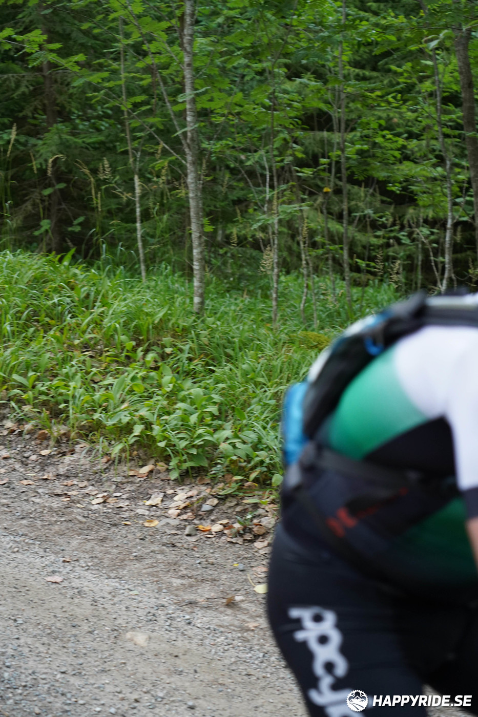 Bild från Finnmarksturen 2022