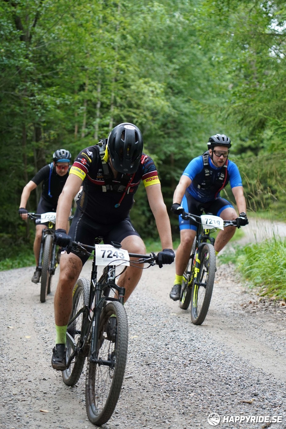 Bild från Finnmarksturen 2022