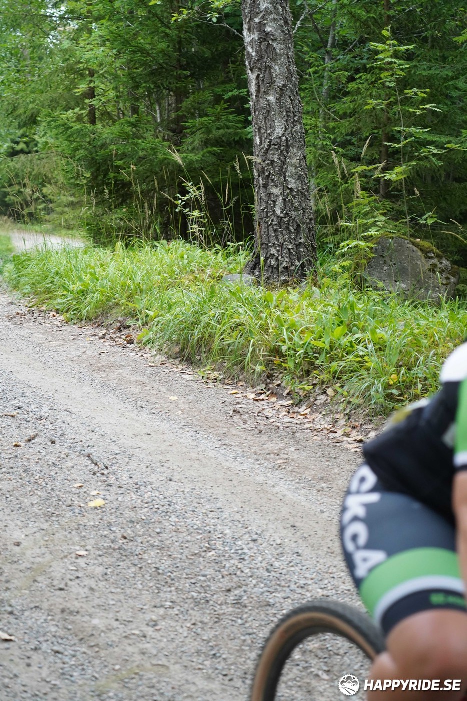 Bild från Finnmarksturen 2022