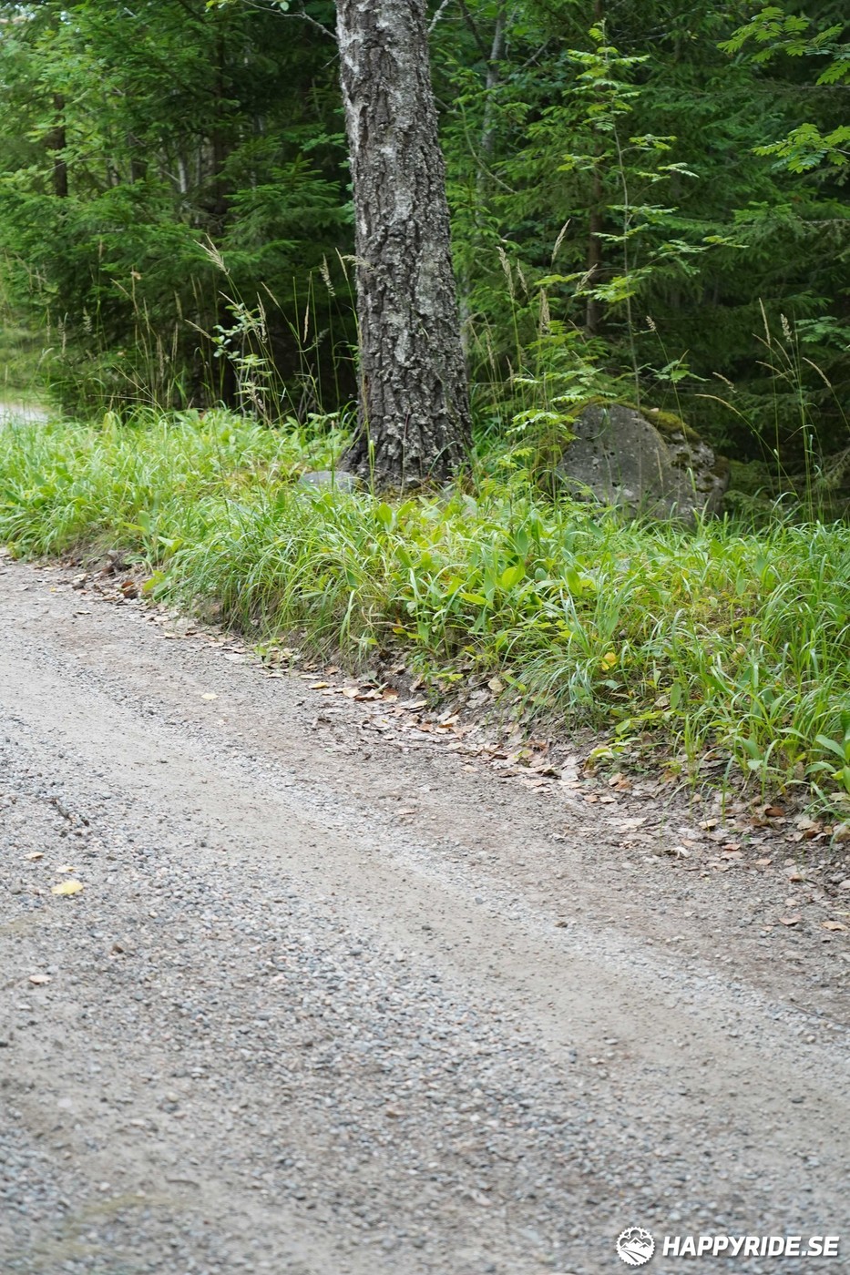 Bild från Finnmarksturen 2022