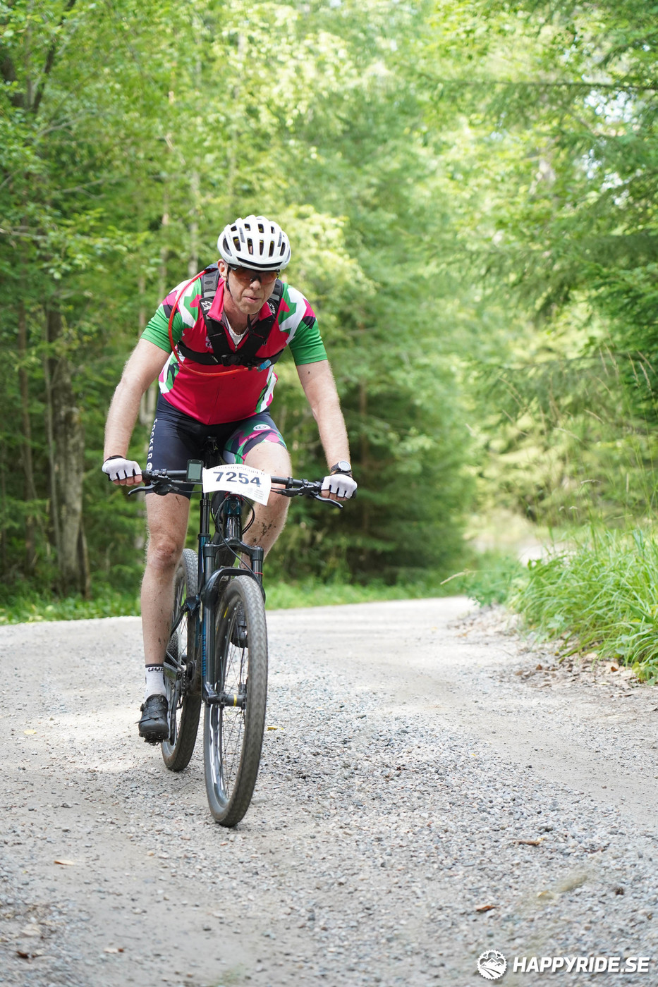 Bild från Finnmarksturen 2022