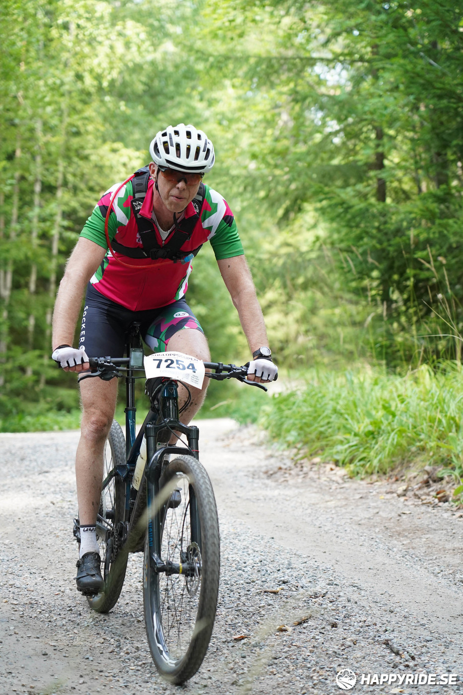 Bild från Finnmarksturen 2022