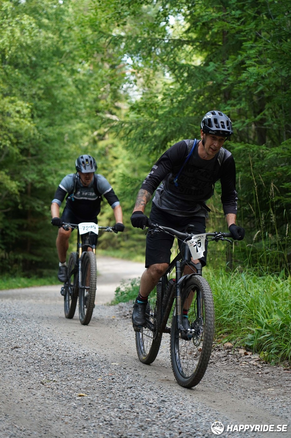 Bild från Finnmarksturen 2022