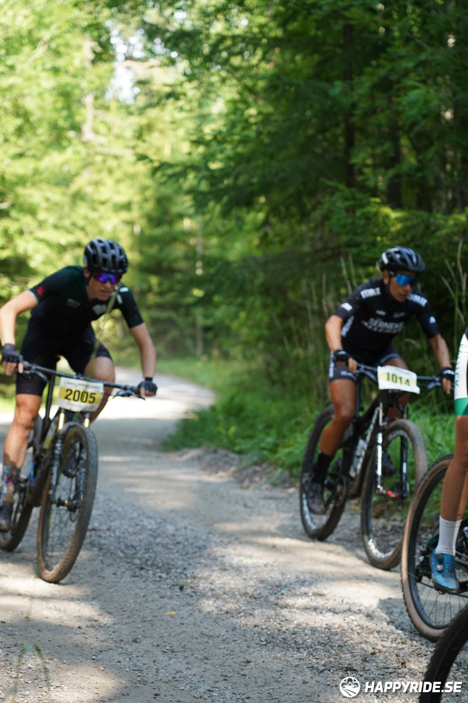 Bild från Finnmarksturen 2022