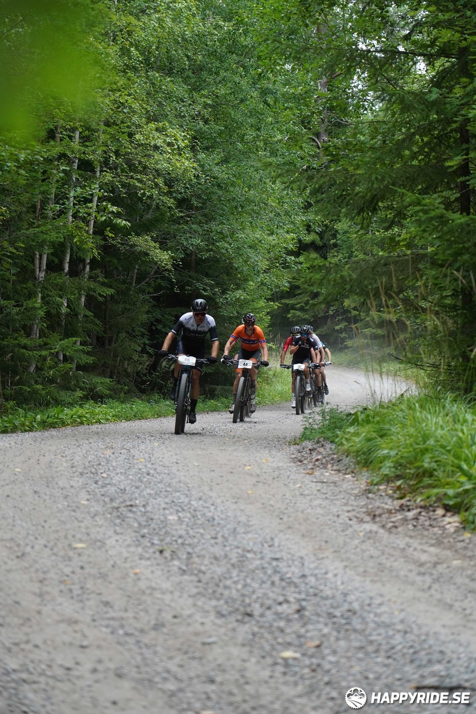 Bild från Finnmarksturen 2022