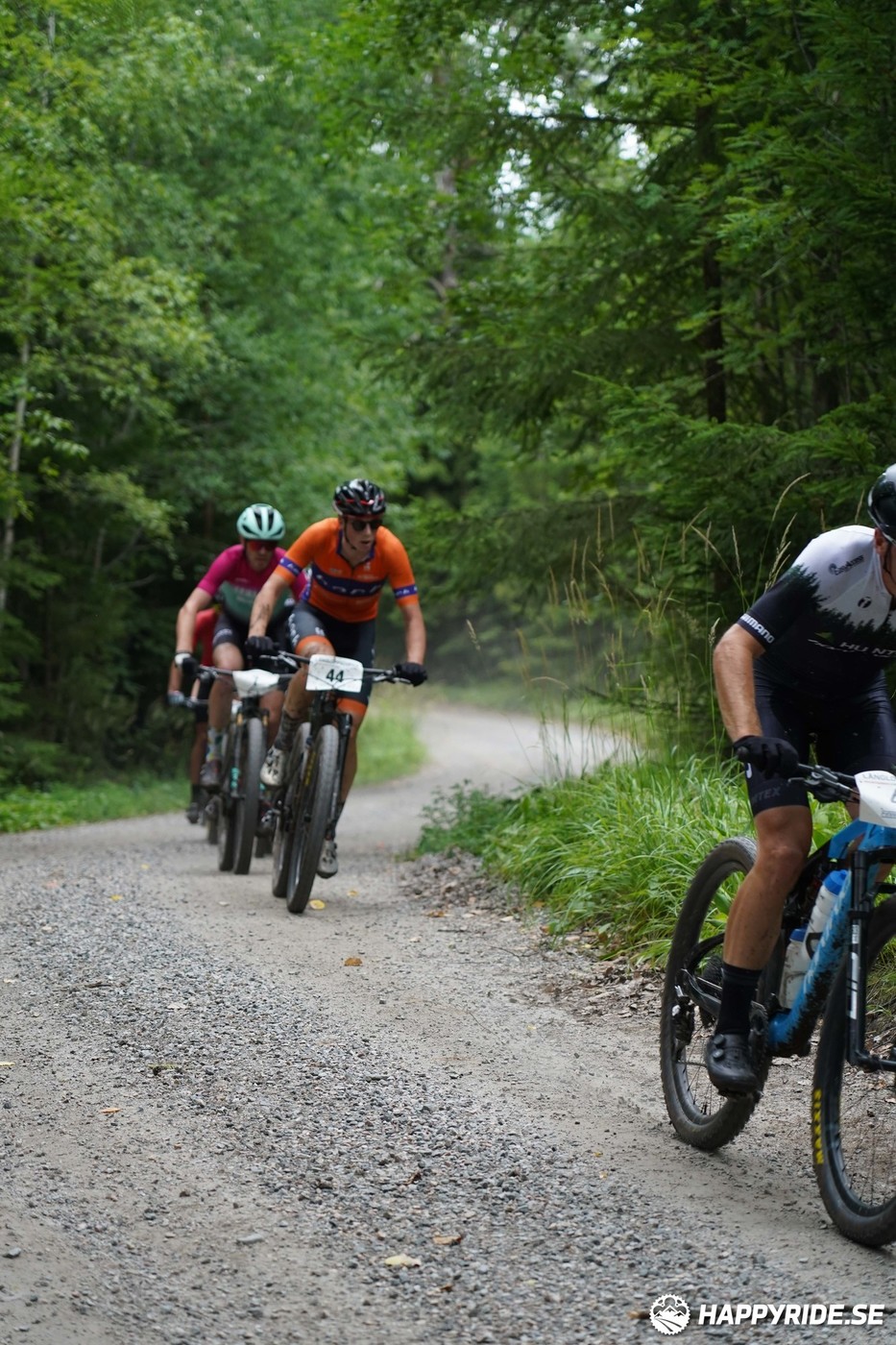 Bild från Finnmarksturen 2022