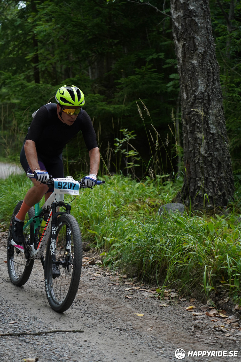 Bild från Finnmarksturen 2022