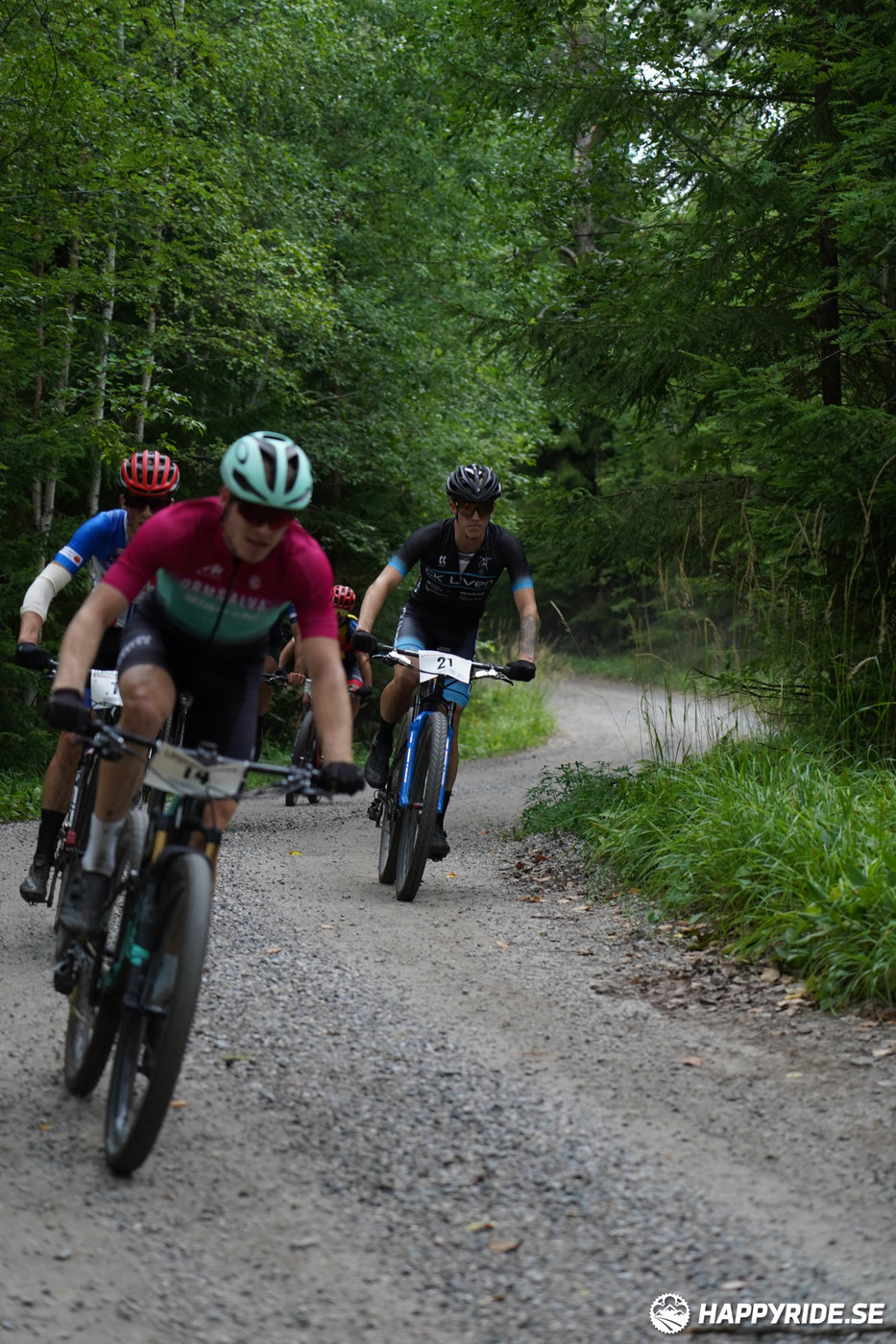 Bild från Finnmarksturen 2022