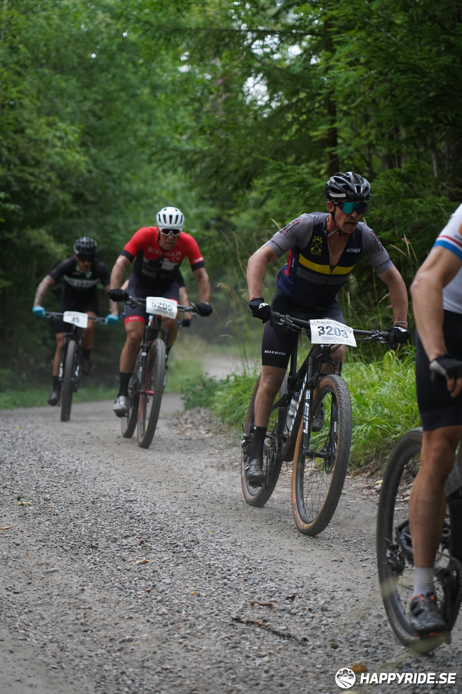 Bild från Finnmarksturen 2022