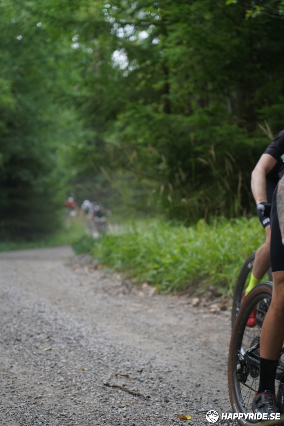 Bild från Finnmarksturen 2022