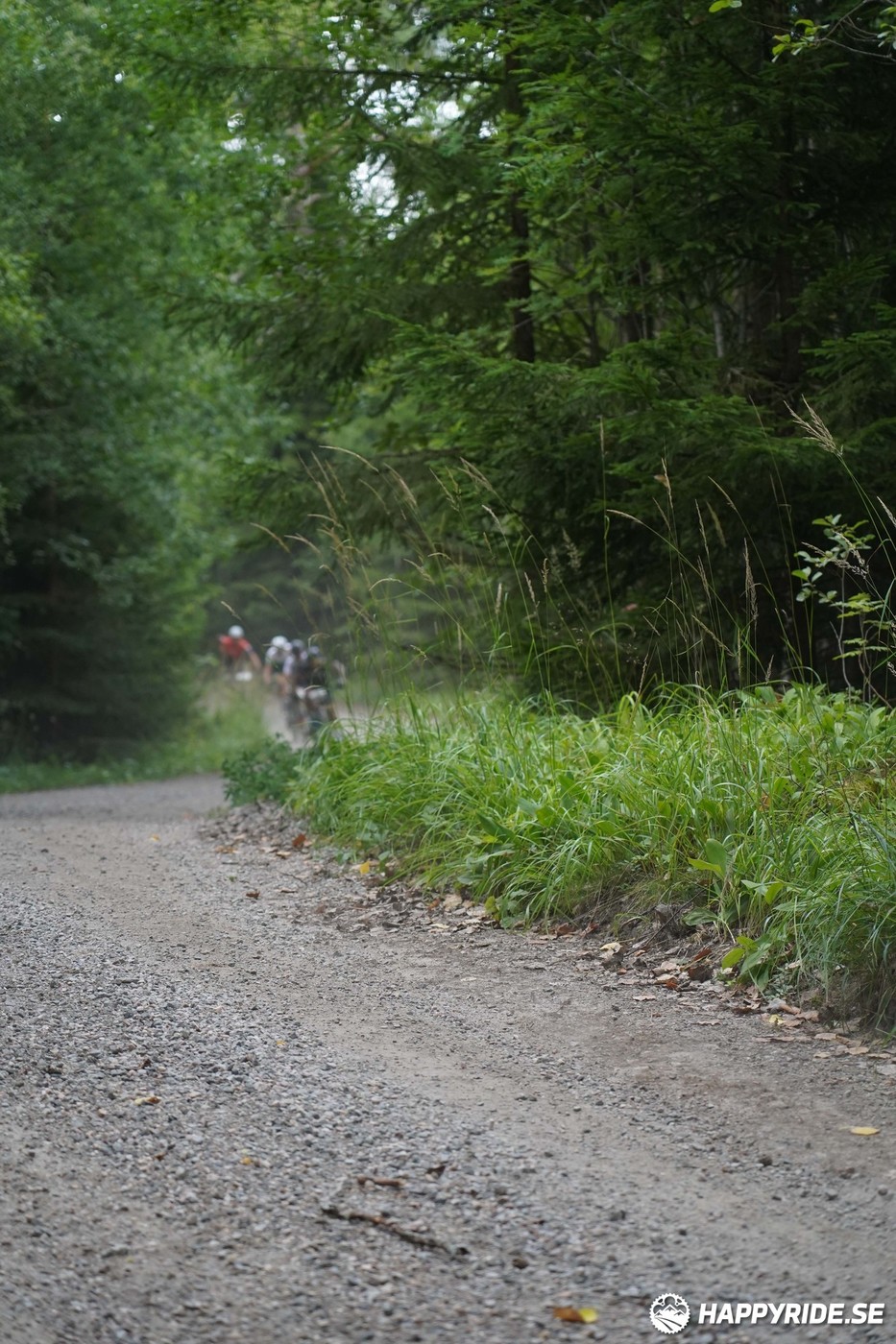 Bild från Finnmarksturen 2022