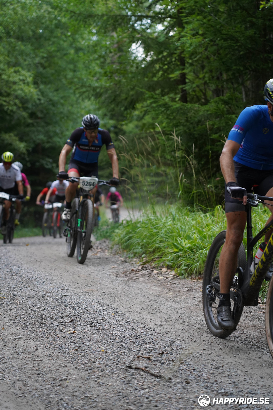 Bild från Finnmarksturen 2022