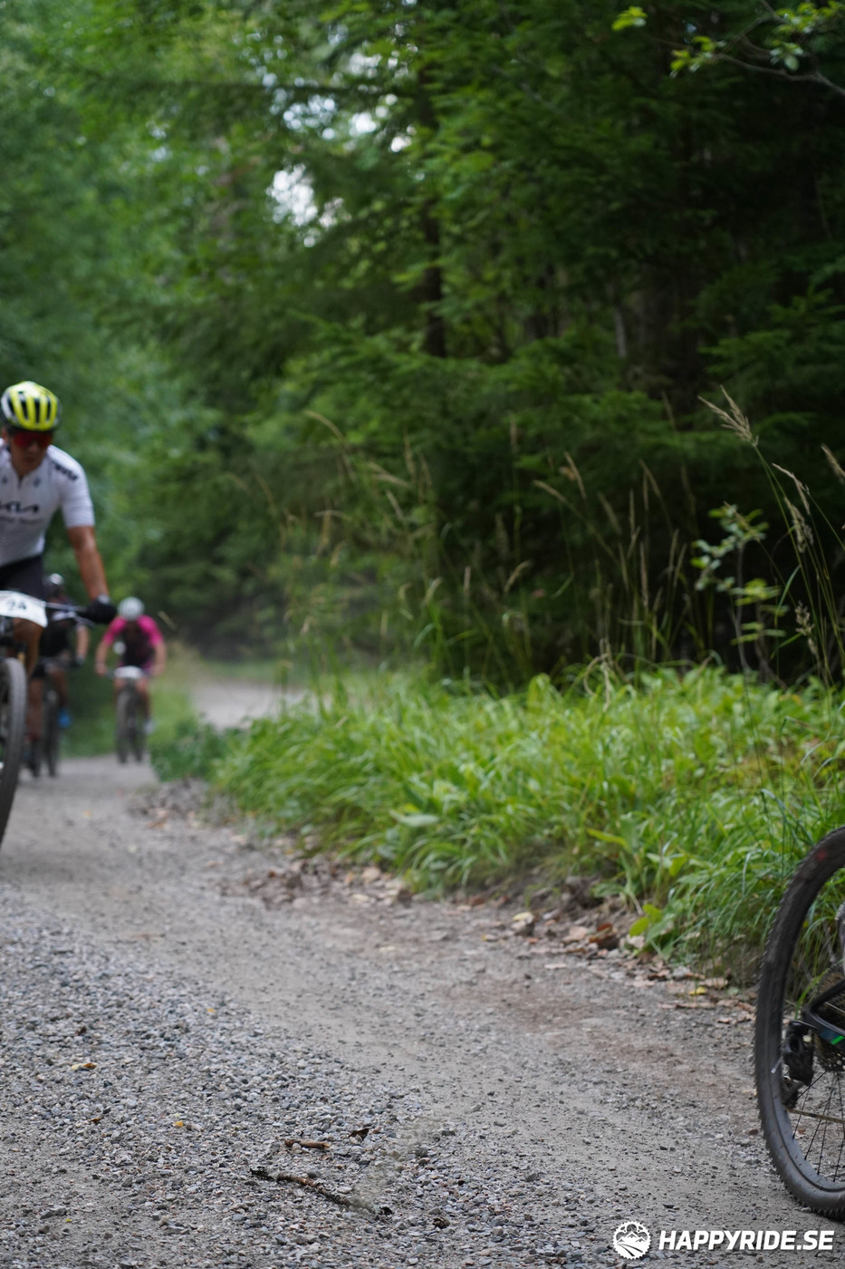 Bild från Finnmarksturen 2022