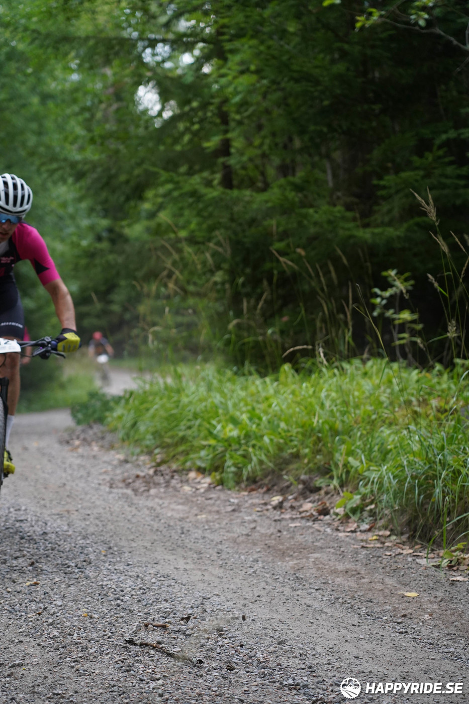 Bild från Finnmarksturen 2022