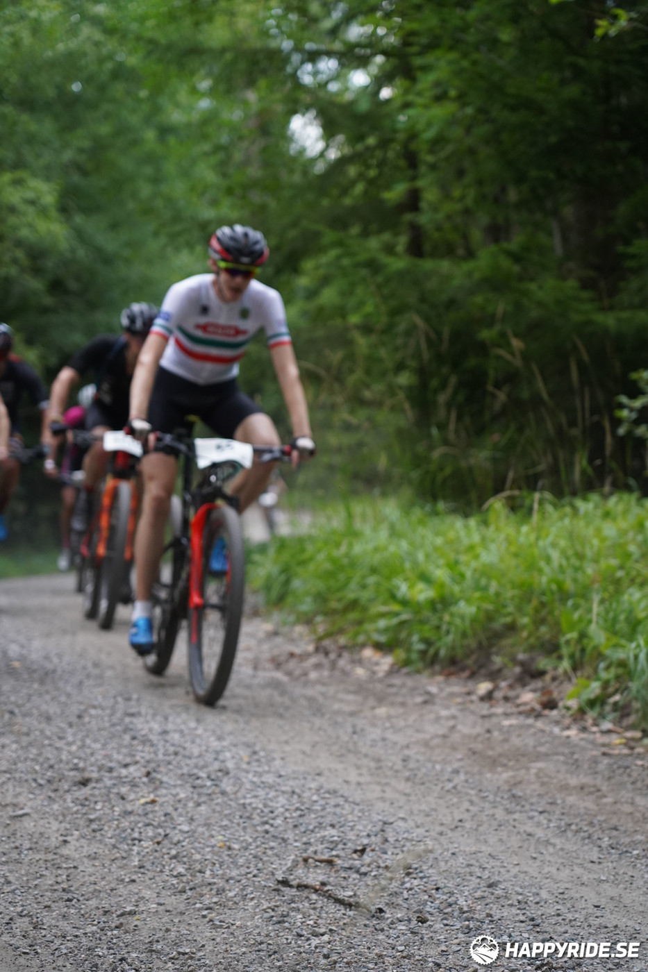 Bild från Finnmarksturen 2022