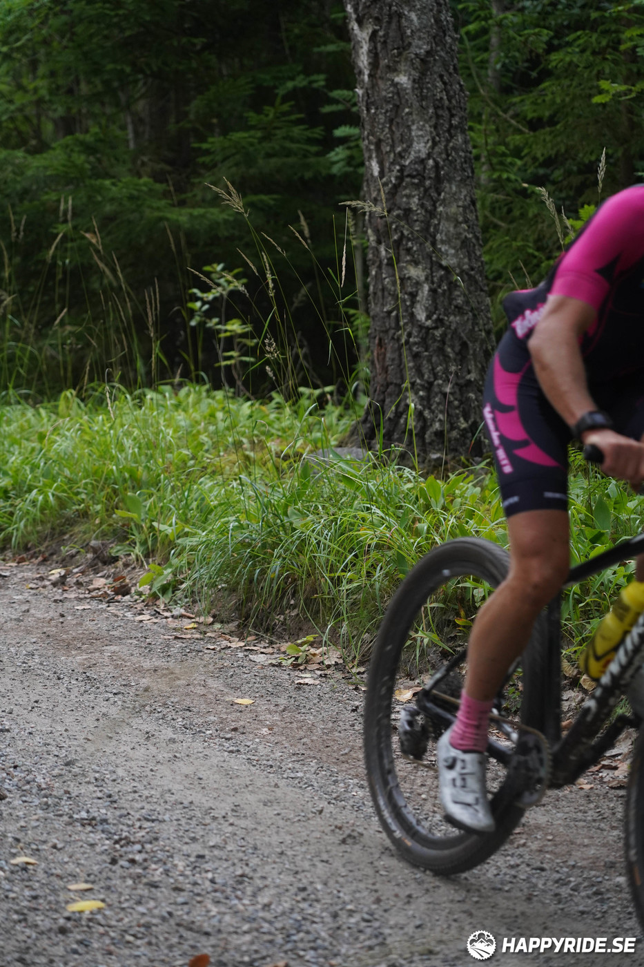 Bild från Finnmarksturen 2022