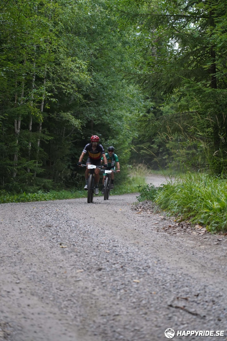 Bild från Finnmarksturen 2022