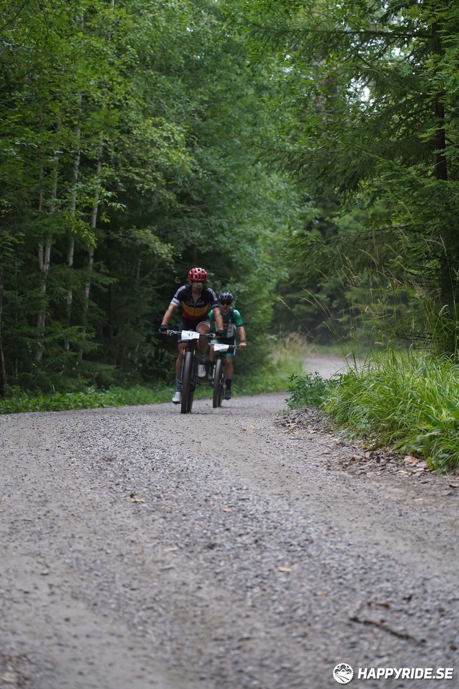 Bild från Finnmarksturen 2022