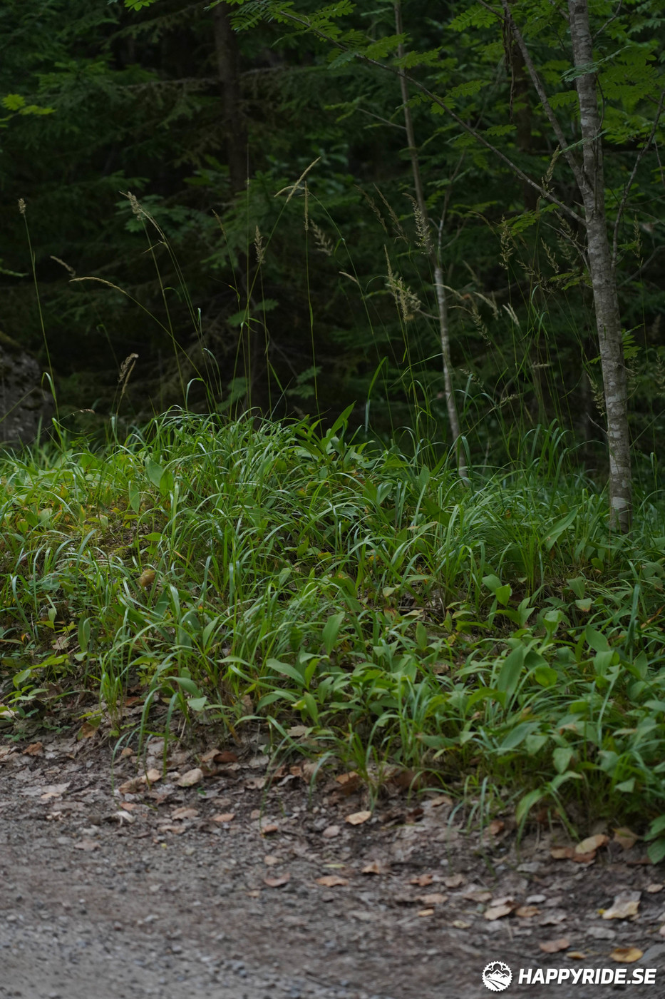 Bild från Finnmarksturen 2022