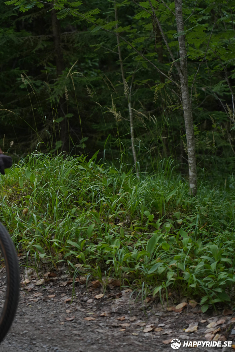 Bild från Finnmarksturen 2022