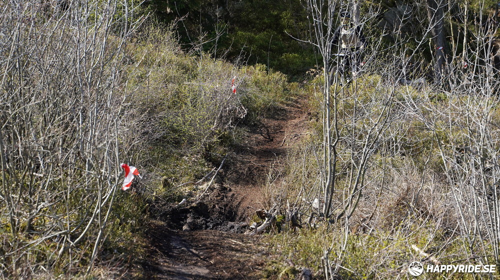 Bild från Göteborgsenduron Swe Cup 2022