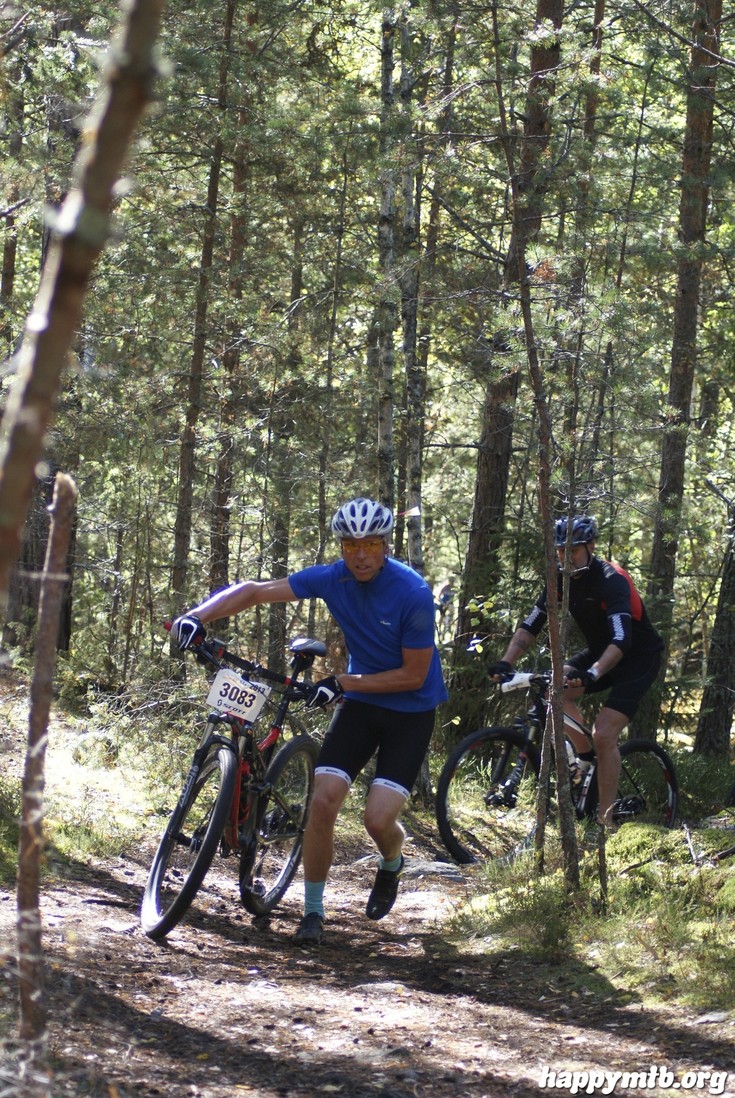 Bild från Hammarby Hill XC 2013