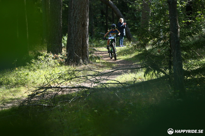 Bild från Hammarby Hill XC 2019 (40 km)