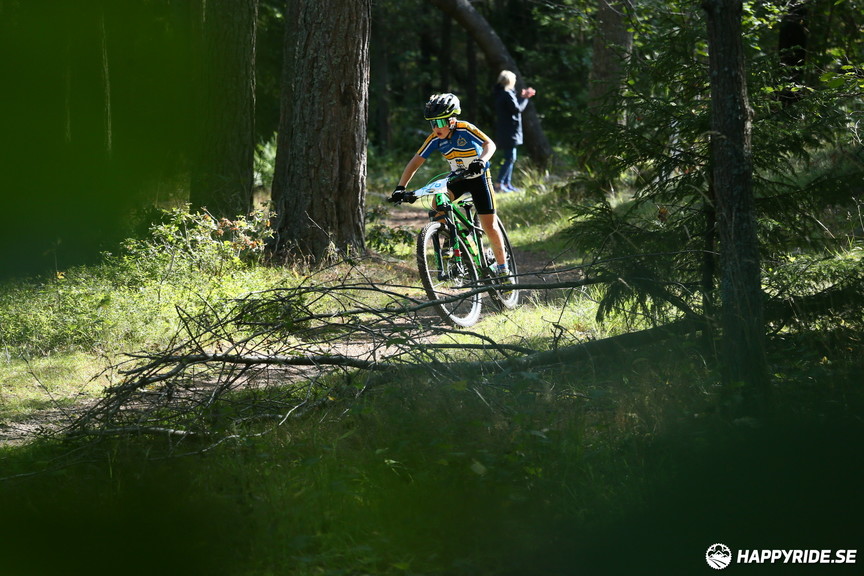 Bild från Hammarby Hill XC 2019 (40 km)