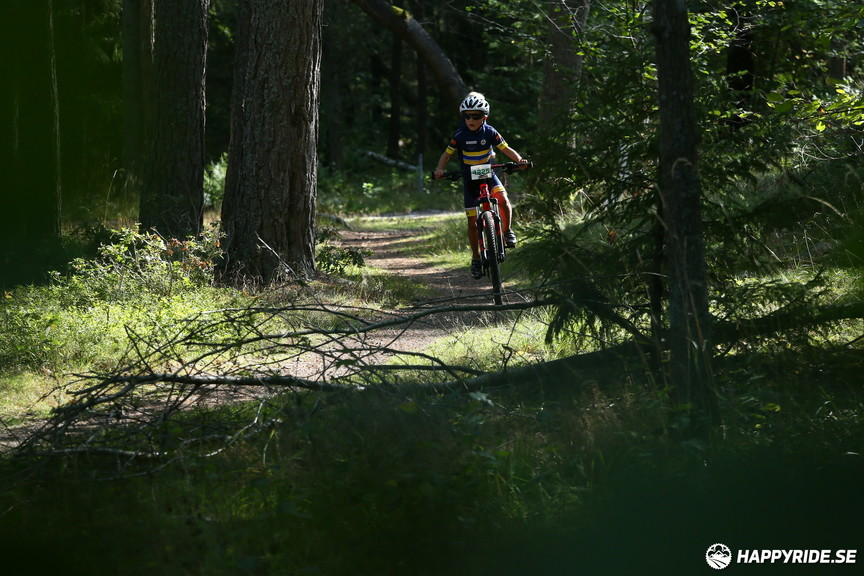 Bild från Hammarby Hill XC 2019 (40 km)