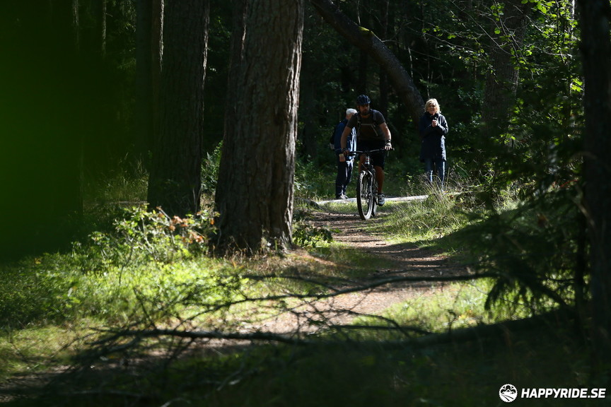 Bild från Hammarby Hill XC 2019 (40 km)