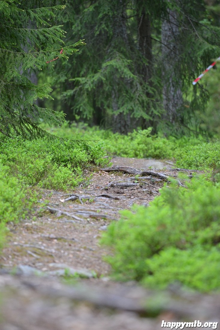 Bild från Långa Lugnet 2015 - Dam tävling