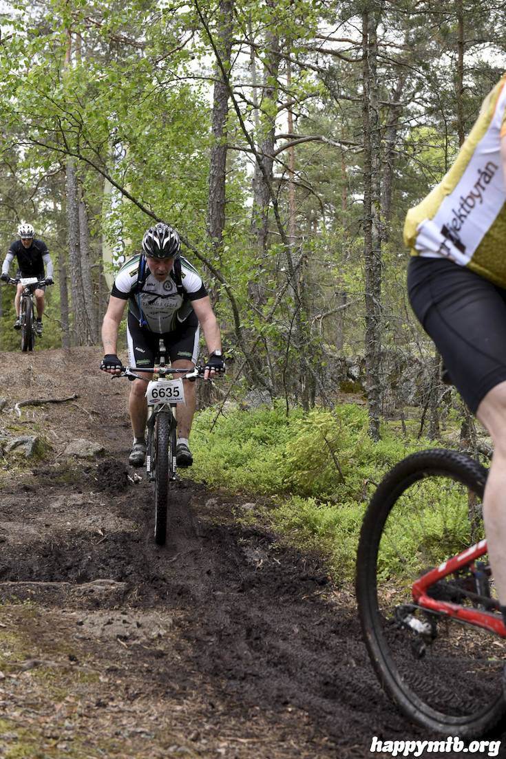 Bild från Lida Loop 2015