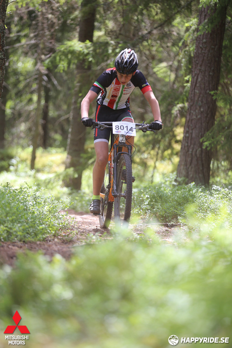 Bild från Lida Loop 2016 2