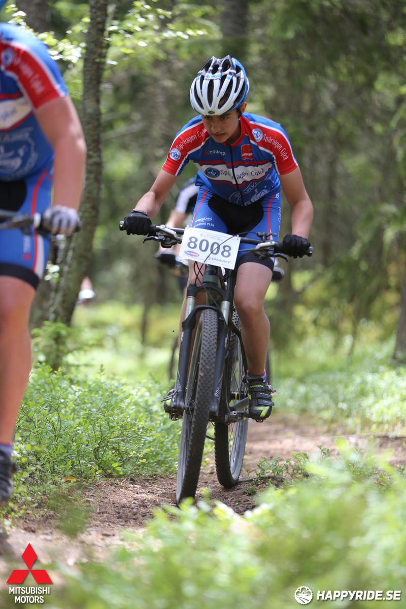 Bild från Lida Loop 2016 2