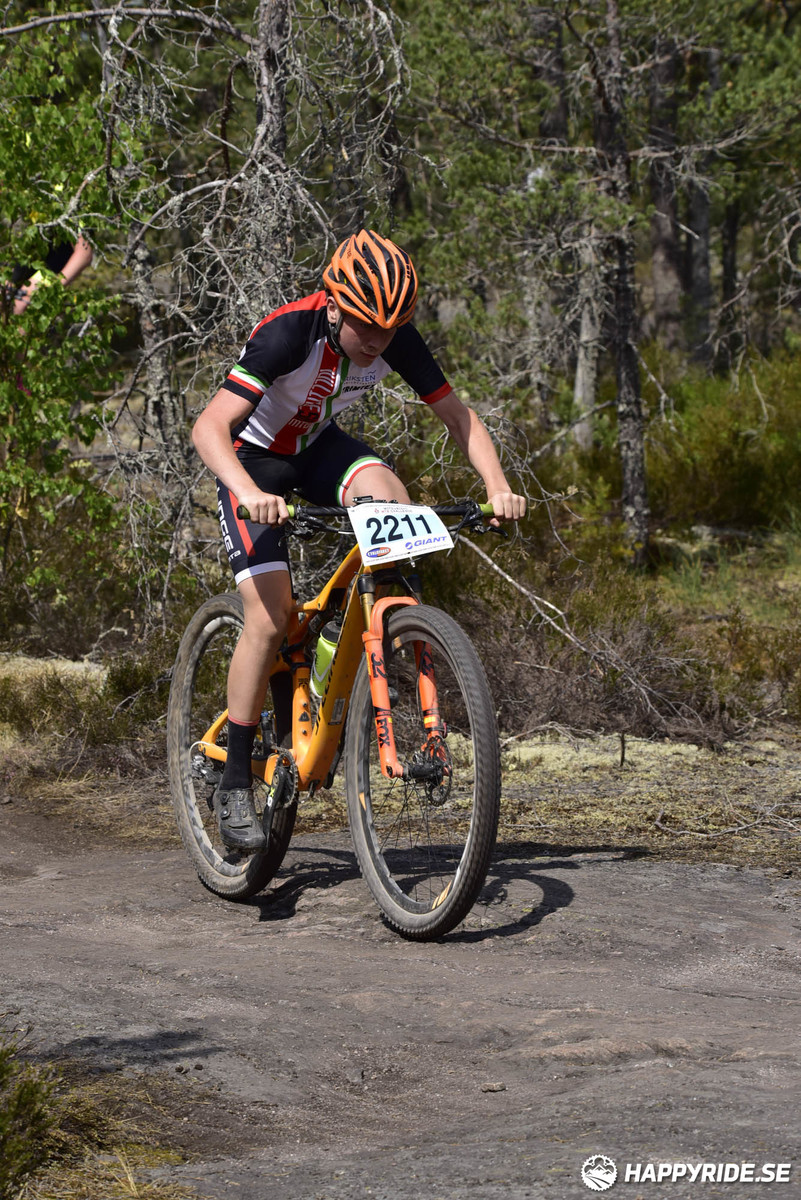 Bild från Lida Loop 2018