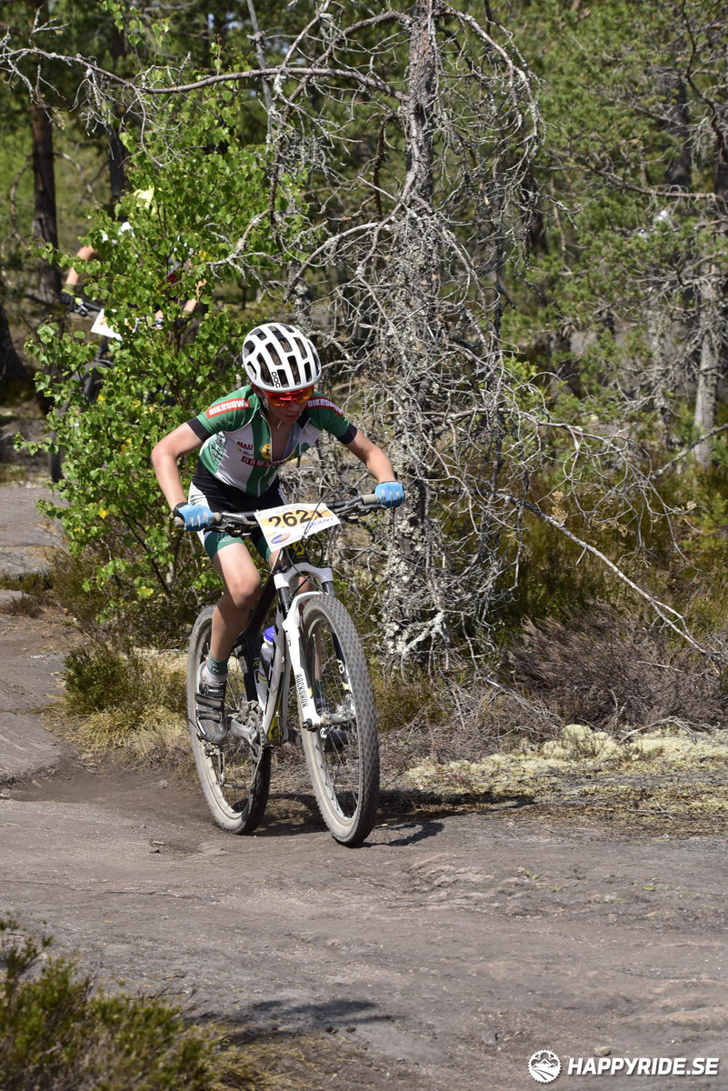 Bild från Lida Loop 2018
