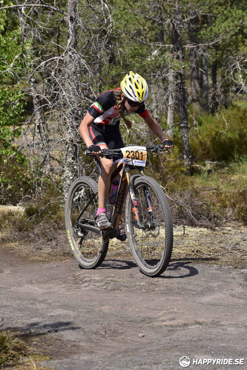 Bild från Lida Loop 2018