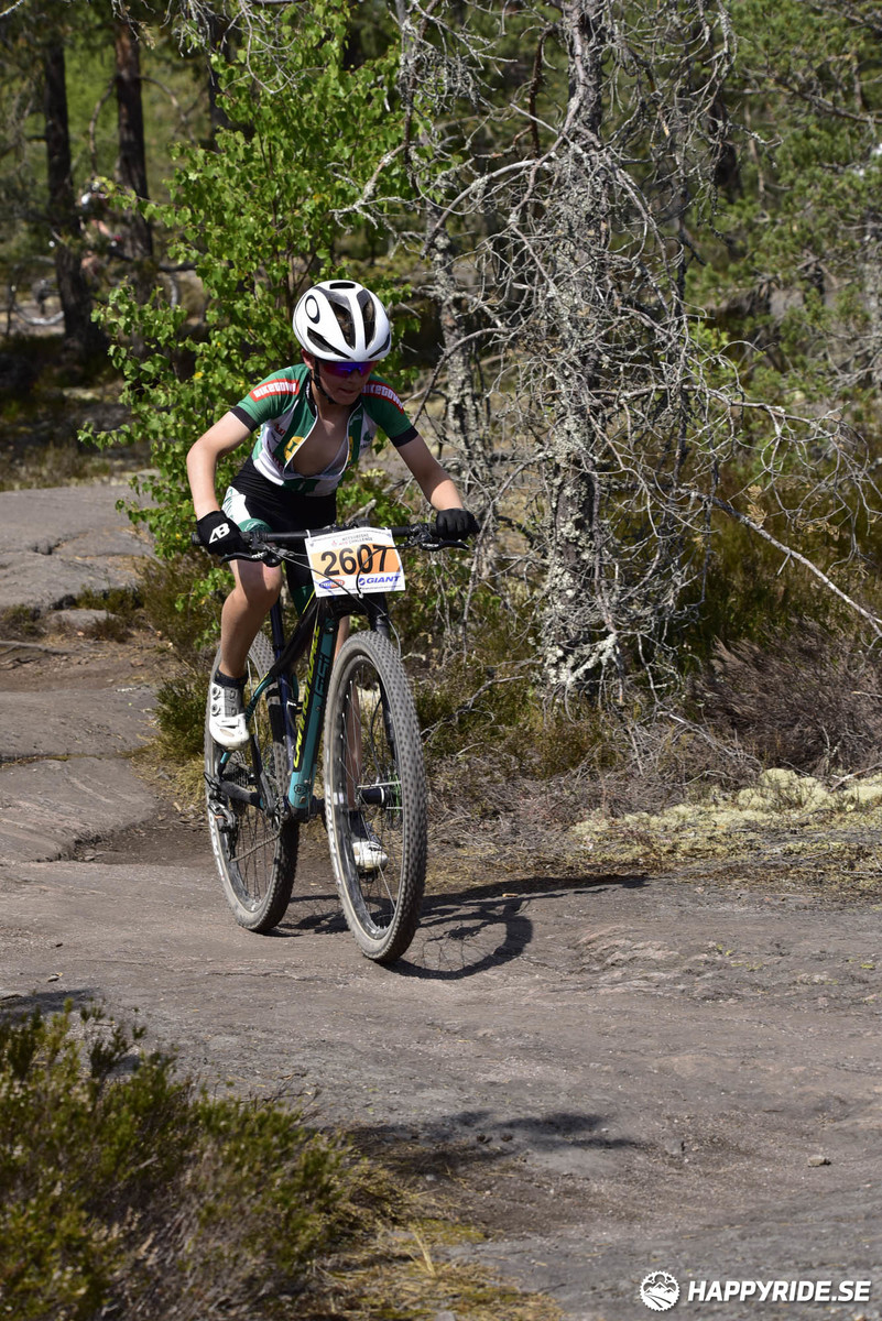 Bild från Lida Loop 2018