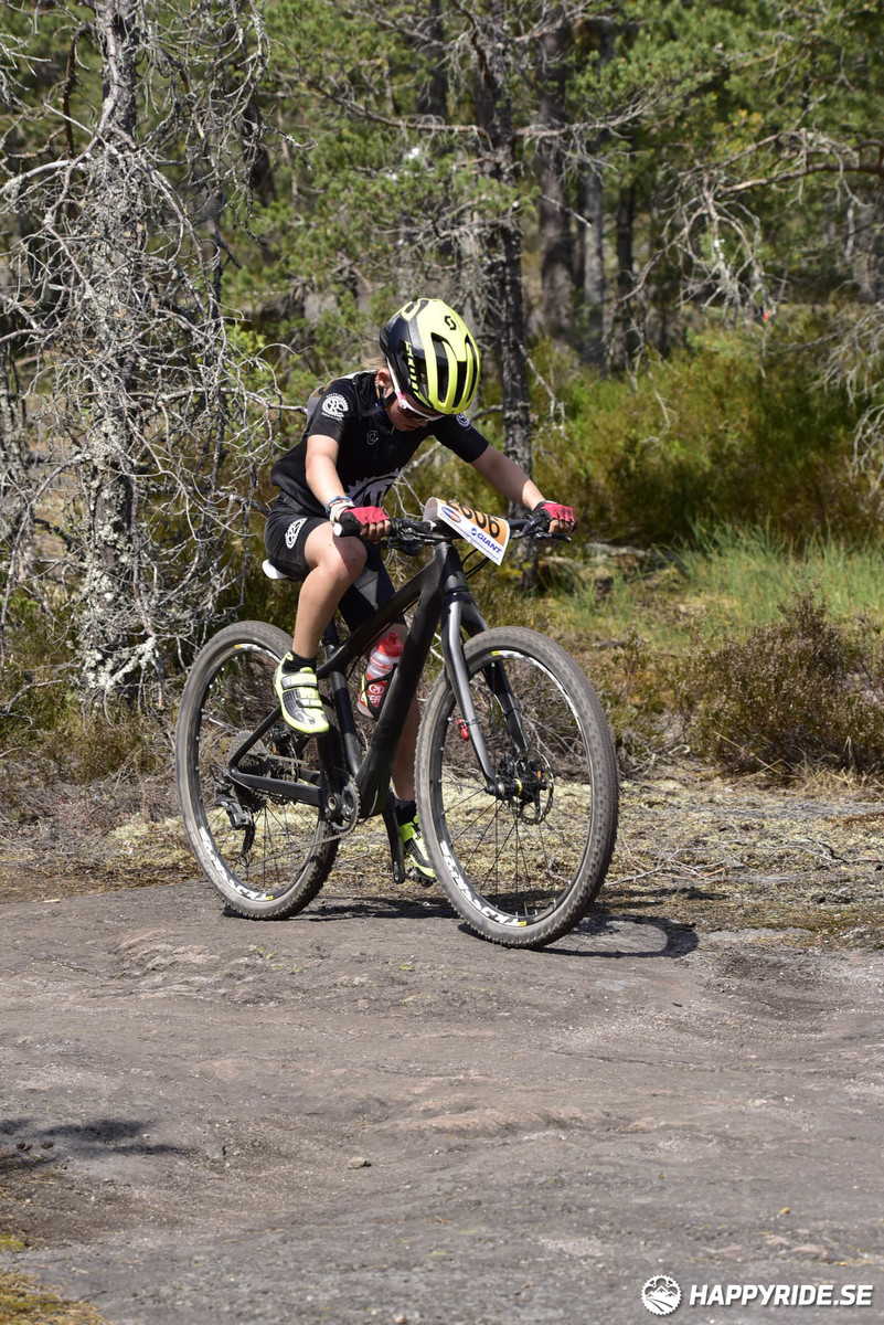Bild från Lida Loop 2018