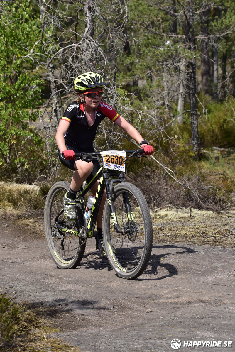 Bild från Lida Loop 2018