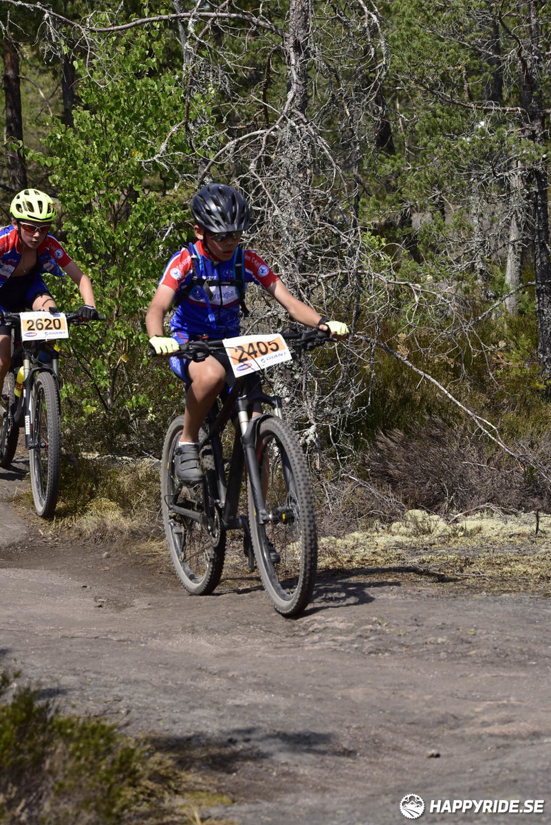 Bild från Lida Loop 2018