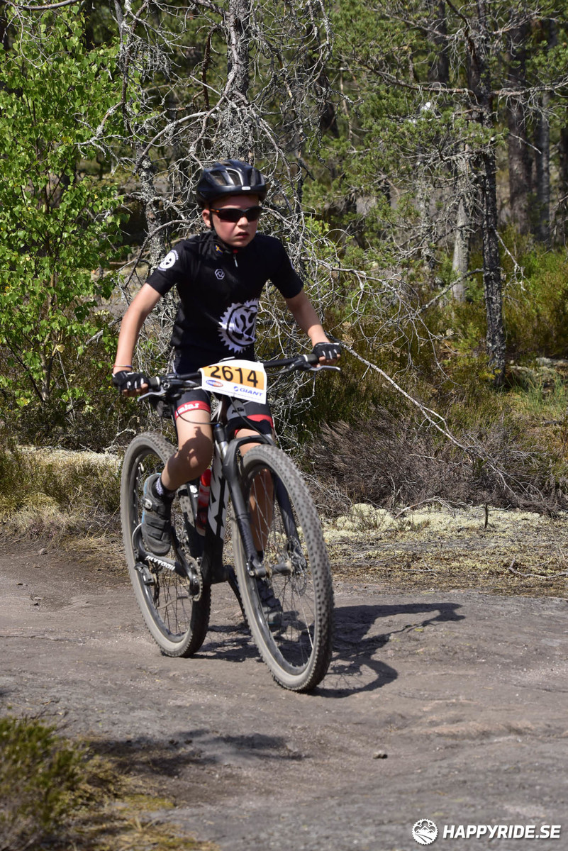 Bild från Lida Loop 2018