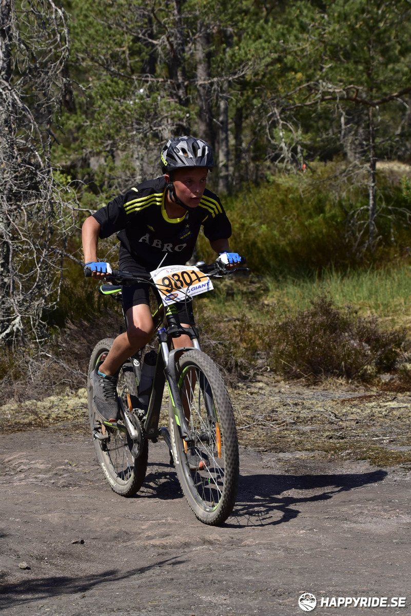 Bild från Lida Loop 2018